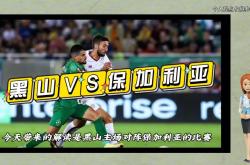保加利亚国家队在欧预赛中交出亮眼成绩的简单介绍